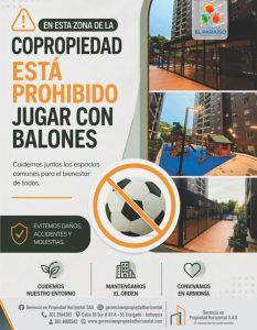PROHIBIDO JUGAR CON BALON